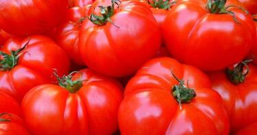 «Kétchup, pero primero tomate»: la iniciativa sostenible en la que participa Asaja