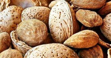 Precio de la almendra {Observatorio de Precios / Lonja de Reus / Lonja de Córdoba}