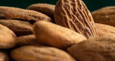 Augusto Jannone: «El precio de la almendra ha mostrado una clara tendencia al alza»