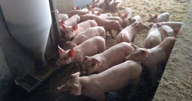 Contar es lo que cuenta