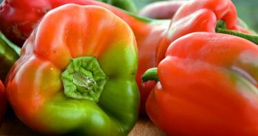 El pimiento ecológico se vende casi un 50% más caro que el convencional