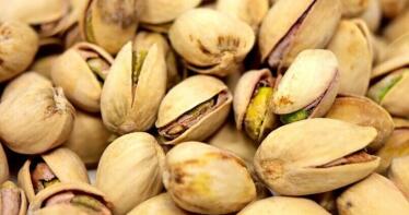 La superficie de pistacho se multiplica por doce en Jaén en la última década