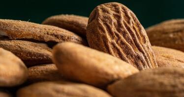 Subida generalizada de los precios de la almendra en la Lonja de Córdoba