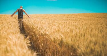 Nuevas subidas en los precios de los cereales, según los comerciantes