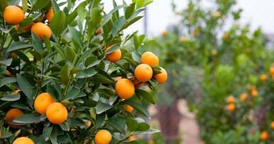 Cuando el sopor invade dan ganas de irse