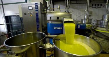 La CNMC avisa de que la retirada obligatoria de aceite de oliva perjudicaría a consumidores y operadores