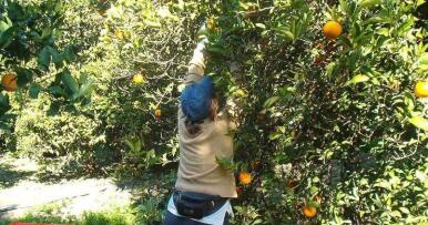 El Día Mundial de las Mujeres Rurales