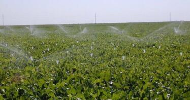 Agricultura destinará un 43% de su inversión a políticas de agua