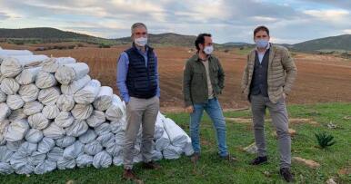 El vehículo de inversión ISFA plantará 5.000 hectáreas de almendro hasta 2023