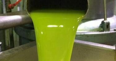 Investigadores andaluces trabajan a contrarreloj para que el aceite de oliva sustituya al de girasol en la industria