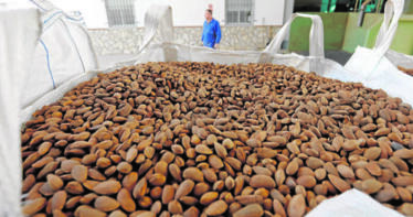 Juan Luis Ávila: «La almendra es una de las grandes perjudicadas del acuerdo comercial UE-EEUU»