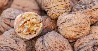 Se consolida la demanda para producir bajo la marca de garantía «Nueces de España»