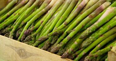 Tiempo de espárragos: cuáles son sus propiedades y cómo tomarlos para potenciar sus beneficios