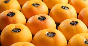 El frutal de hueso innova con prácticas sostenibles para ser más rentable