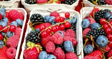 Huelva refuerza su papel como capital mundial de los frutos rojos con el 10º Congreso Internacional