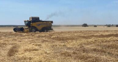 La compensación del IVA no computará como ingreso en los módulos de 2026