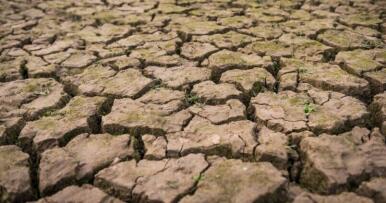 Expectación ante la Mesa de la Sequía: estas son las peticiones de Andalucía