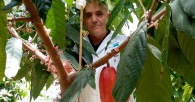 El hito histórico de cultivar con éxito cacao en Málaga