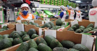 Ciencia andaluza para garantizar el origen y la calidad de los alimentos