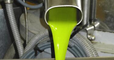 Crean una ‘brújula’ tecnológica para aprovechar mejor los restos del olivar