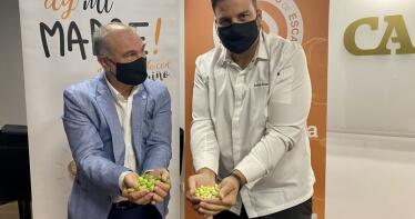 La falta de lluvias hace mella en la producción del Garbanzo de Escacena, que podría descender un 25%