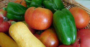 Los hortícolas andaluces aumentan su valor en la recta final del año