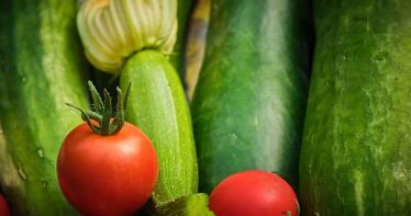 Se activa la «alerta amarilla» para el calabacín y el pepino por su brusca bajada de precios
