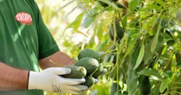 Trops participa en un proyecto europeo para crear una nueva generación de fertilizantes