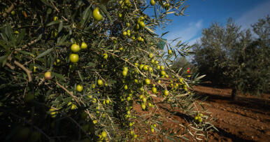 El agua lo cambia todo