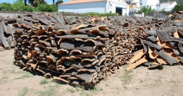 La campaña del corcho en Huelva avanza marcada por «la irregularidad de los precios»