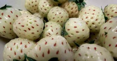 La peculiar fresa blanca onubense que apasiona a los japoneses y supera los 40 €/kg