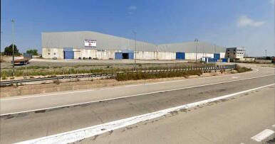 Agralia construirá en Utrera la mayor fábrica de pienos de Andalucía