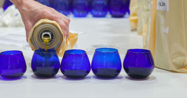 El sector oleícola, a través de la Fundación del Olivar, trabaja para armonizar los paneles de cata