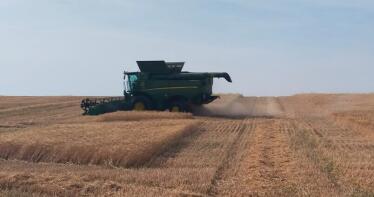 Arranca la recolección de cereales en Córdoba con una bajada de la producción por la climatología