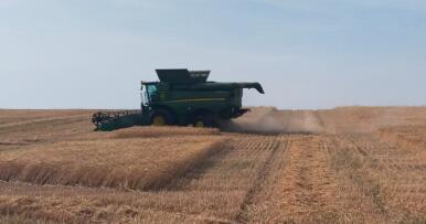 La entrada «masiva» de cereal de terceros países acaba con la rentabilidad del grano cordobés