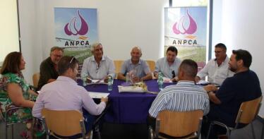 El sector del ajo vive una campaña «complicada» por la incertidumbre del mercado