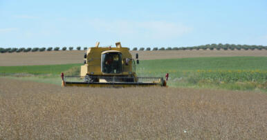 El campo que se nos va