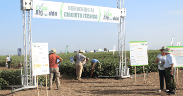 Expoalgodón se celebrará el próximo 15 de septiembre en Lebrija