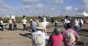 Expoalgodón reúne al sector algodonero para optimizar el emblemático cultivo del Bajo Guadalquivir