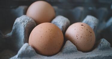 Visto bueno a la extensión de norma del huevo impulsada por la interprofesional