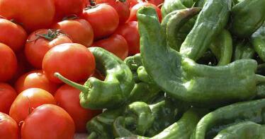 Del calabacín al tomate, así está siendo la campaña en Almería: «producir cada vez sale más caro»