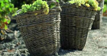 La incertidumbre por los aranceles ya ha hecho caer un 24% las ventas del vino de Jerez en Estados Unidos