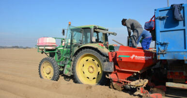 La ayuda PAC media percibida por los agricultores andaluces en 2021 fue de 3.806 euros