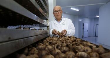 La Abuela Carmen vende desde Córdoba un complemento alimenticio de ajo negro