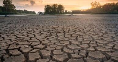 La climatología no da tregua al campo