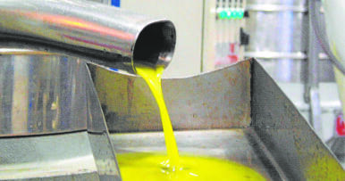 Juan Luis Ávila: «Los olivareros han perdido ya más de 626 millones de euros»