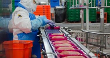 Procavi, del Grupo Fuertes, ampliará sus producciones de pavo en Sevilla y Málaga