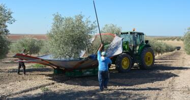 Nueva PAC: las filtraciones confirman el ‘fondo único’ que rechaza el campo andaluz