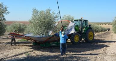 El plazo para solicitar las ayudas de la PAC 2026 está abierto hasta el 30 de abril