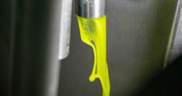 Se busca el mejor aceite de oliva virgen extra de España de la nueva campaña